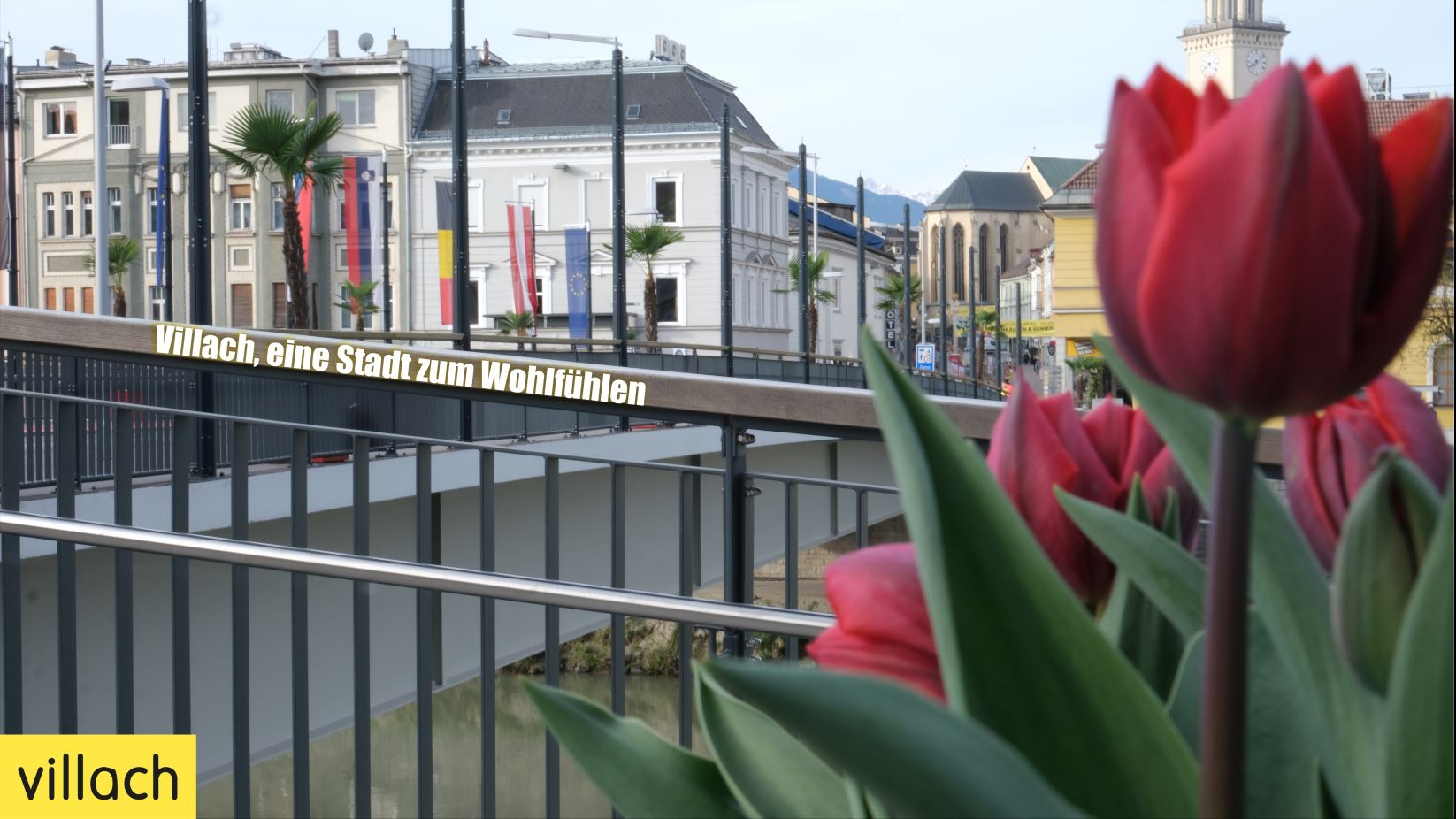 Das Bild konnte nicht geladen werden!